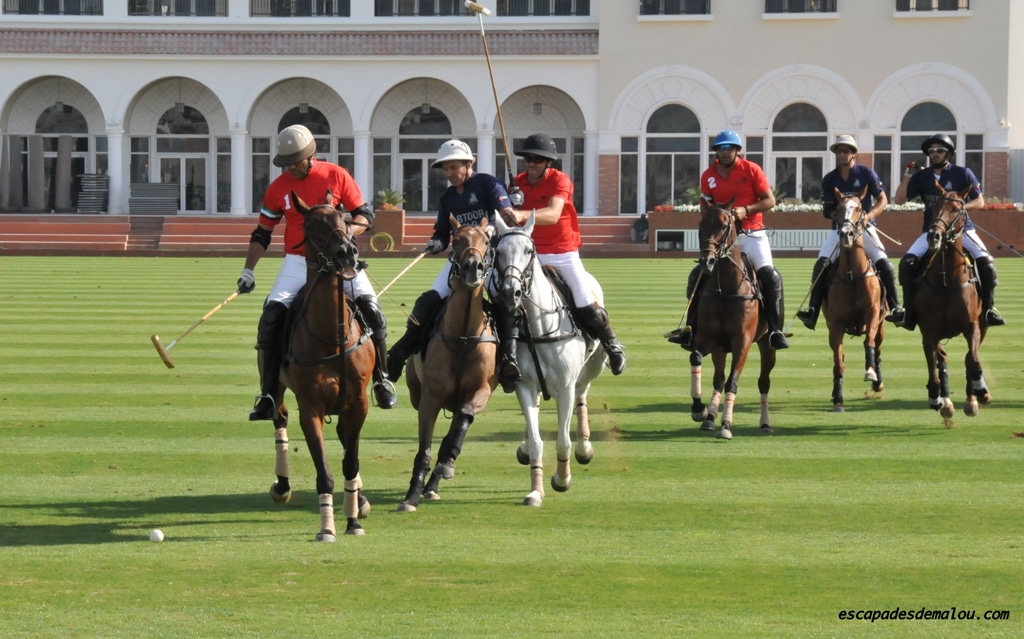 https://escapadesdemalou.com/le-polo-a-la-decouverte-de-ce-sport-equestre-a-dubai/