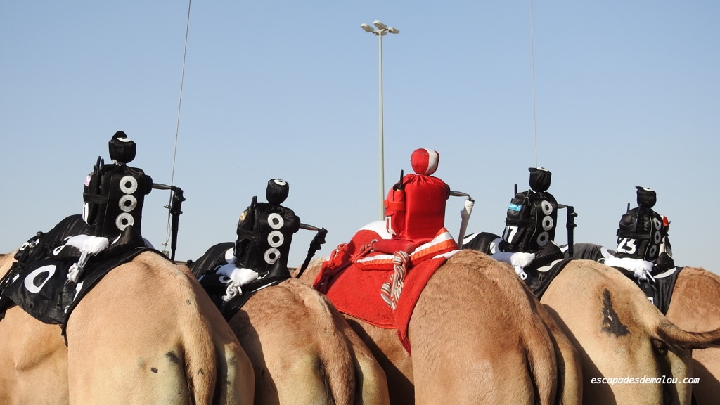 https://escapadesdemalou.com/courses-de-chameaux/