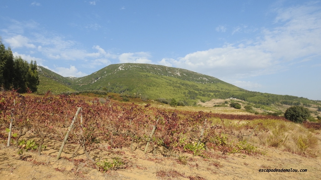 https://escapadesdemalou.com/2017/09/serra-de-montejunto/