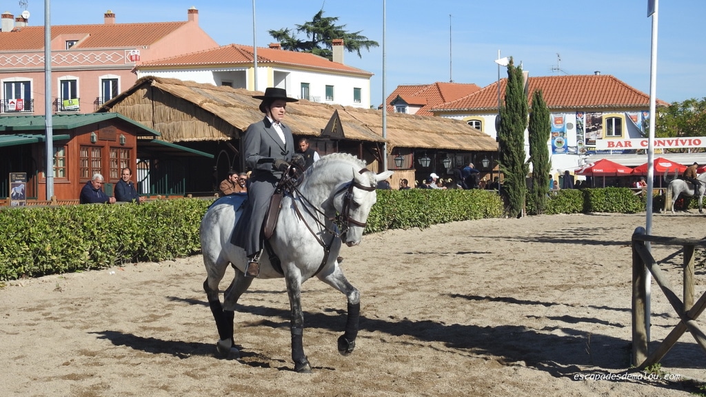 https://escapadesdemalou.com/2017/11/la-foire-nationale-du-cheval-a-golega/