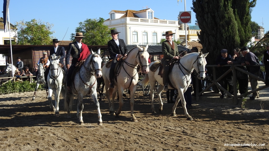 https://escapadesdemalou.com/2017/11/la-foire-nationale-du-cheval-a-golega/