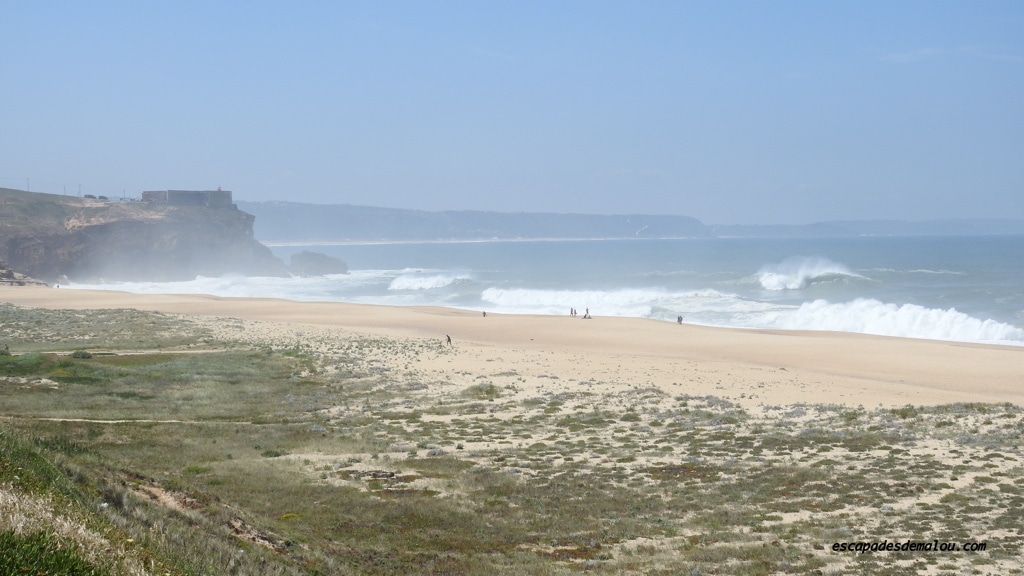 Nazaré Surf