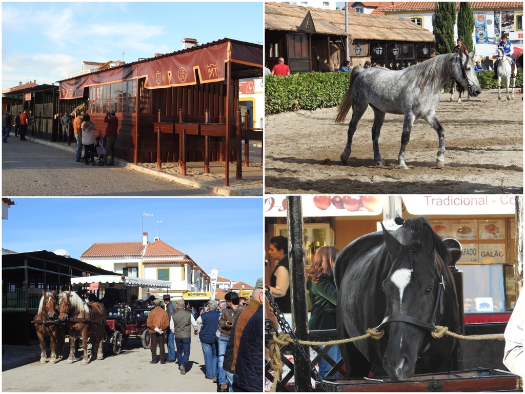 https://escapadesdemalou.com/2017/11/la-foire-nationale-du-cheval-a-golega/