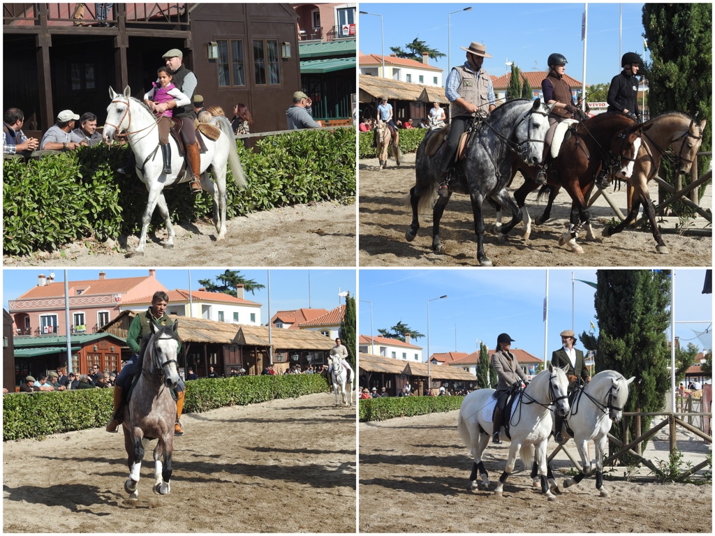 https://escapadesdemalou.com/2017/11/la-foire-nationale-du-cheval-a-golega/