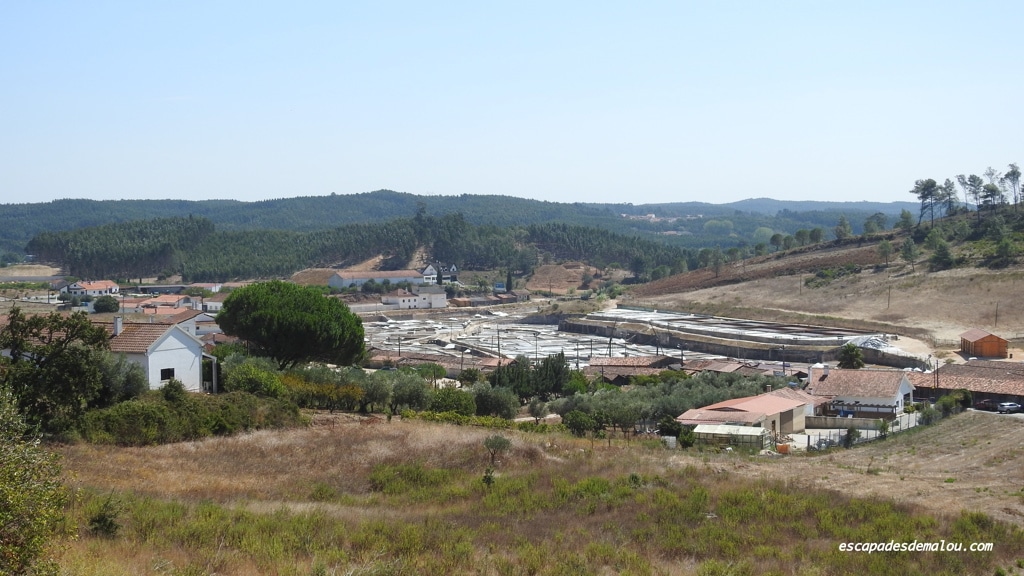 https://escapadesdemalou.com/2018/01/les-salines-naturelles-de-rio-maior-une-merveille-de-la-nature/