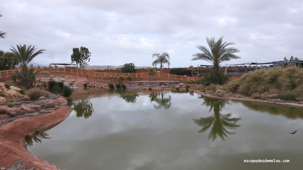 https://escapadesdemalou.com/2018/04/crocoparc-agadir/