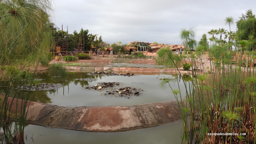 https://escapadesdemalou.com/2018/04/crocoparc-agadir/