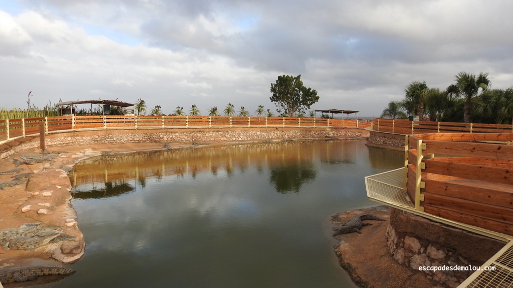 https://escapadesdemalou.com/2018/04/crocoparc-agadir/