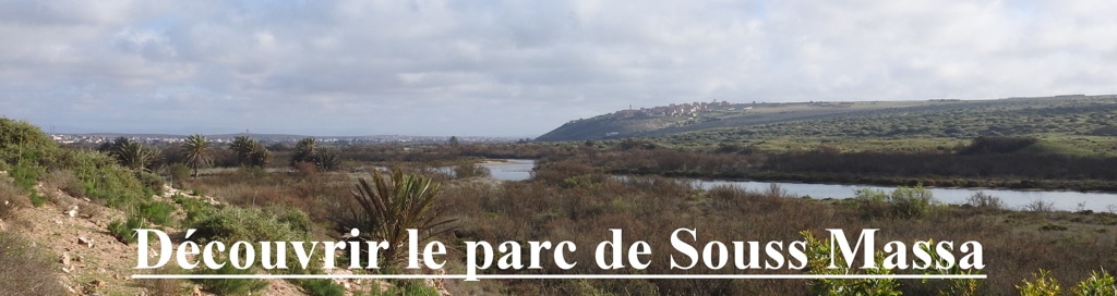https://escapadesdemalou.com/2018/04/le-parc-national-de-souss-massa/