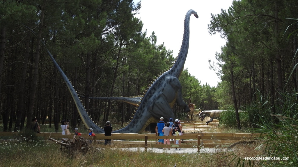 https://escapadesdemalou.com/2018/07/dino-parque/