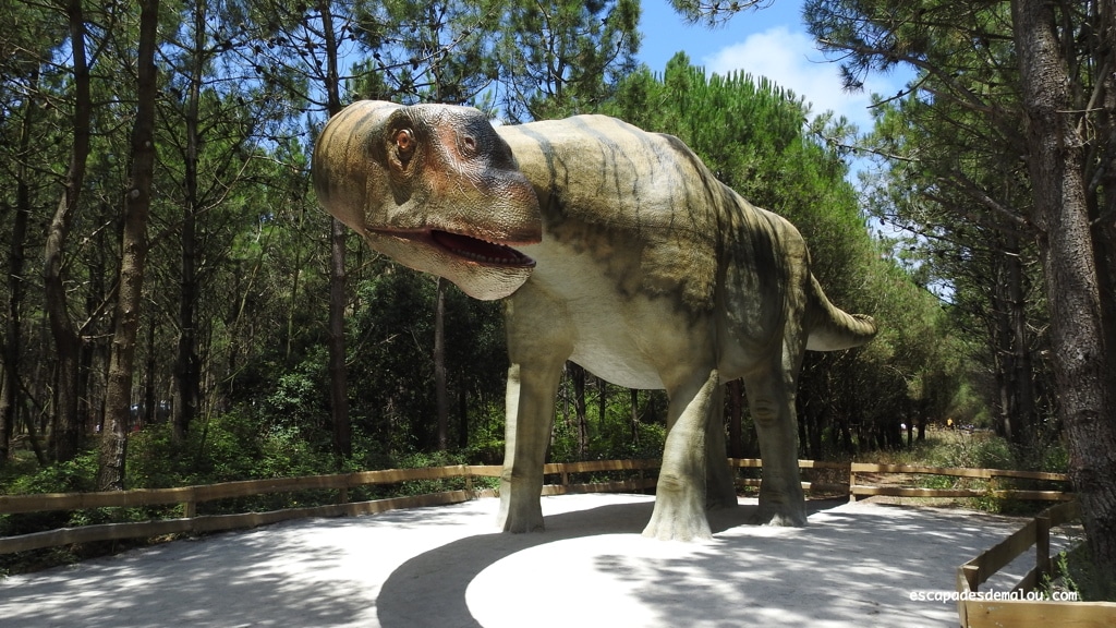 https://escapadesdemalou.com/2018/07/dino-parque/