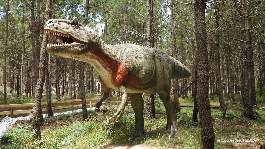 https://escapadesdemalou.com/2018/07/dino-parque/