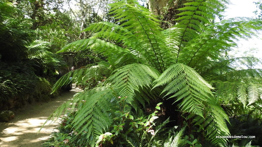 Le palais de Monserrate