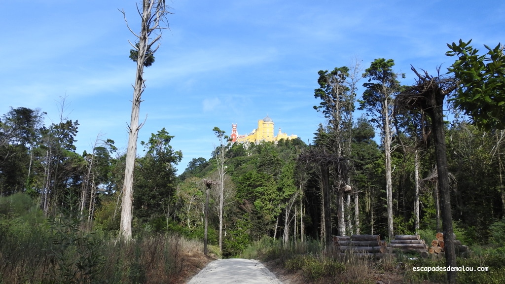 Le palais de Pena