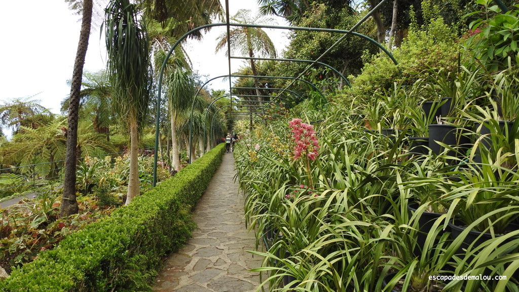 https://escapadesdemalou.com/jardin-tropical-monte-palace-madere/