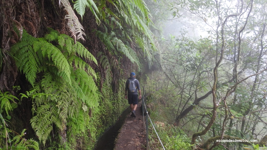 https://escapadesdemalou.com/levada-du-caldeirao-verde-randonnee-madere/