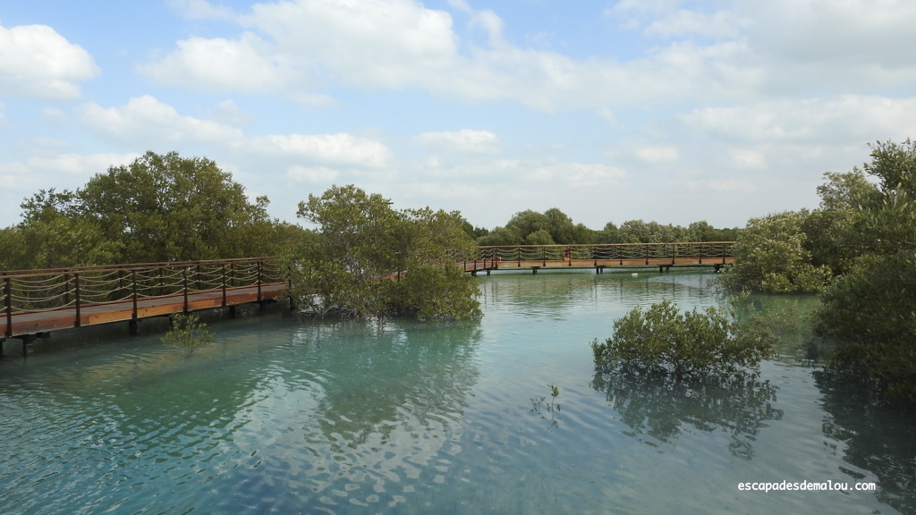 https://escapadesdemalou.com/parc-des-mangroves-abu-dhabi/