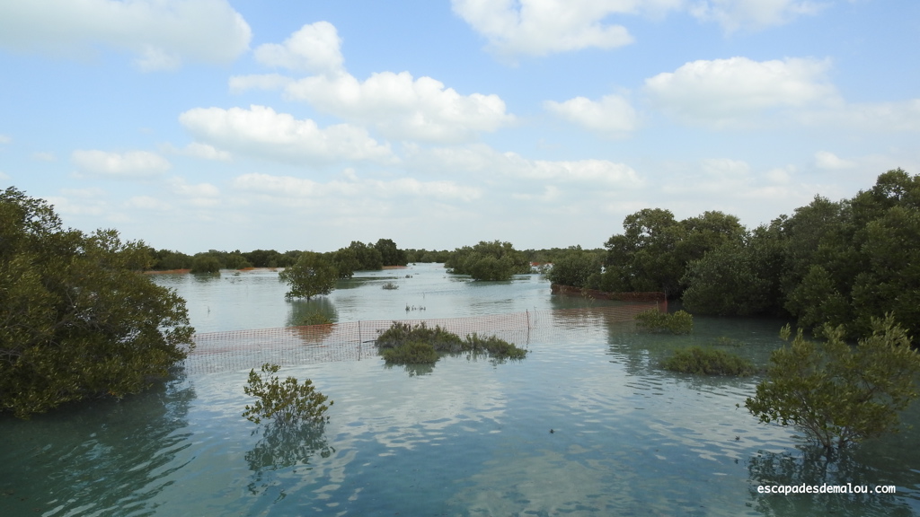 https://escapadesdemalou.com/parc-des-mangroves-abu-dhabi/