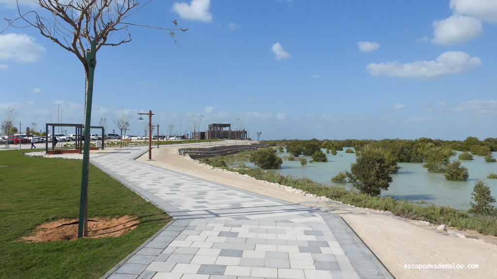 https://escapadesdemalou.com/parc-des-mangroves-abu-dhabi/