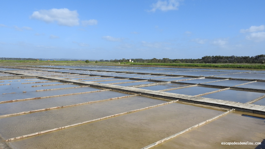 https://escapadesdemalou.com/a-la-decouverte-des-salines-du-portugal/