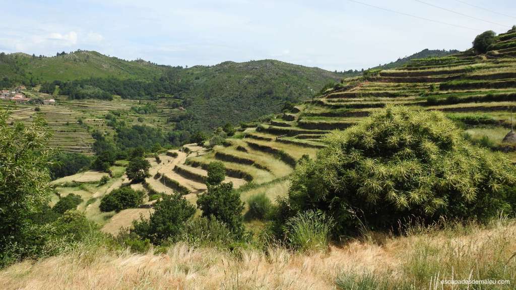 https://escapadesdemalou.com/sistelo-le-petit-tibet-du-portugal-dans-la-region-du-nord/