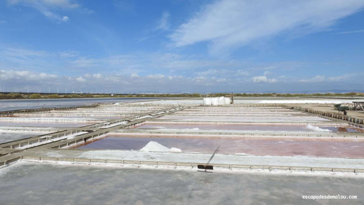 https://escapadesdemalou.com/a-la-decouverte-des-salines-du-portugal/