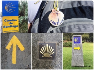 Saint Jacques de Compostelle 